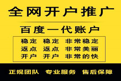 sem竞价托管代运营——广告优化的典范案例