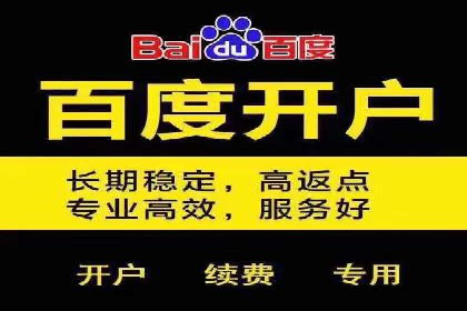 案例分享：SEM广告投放助力电商增长
